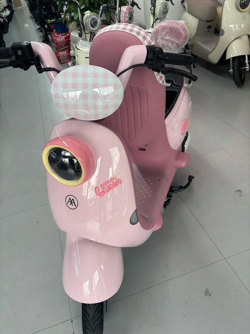 电动车 爱玛电动车精品二手电动车 图1